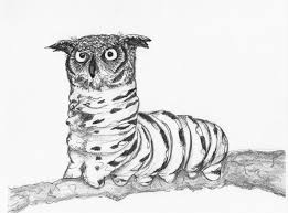 Owl Caterpillar Animal Mash Up Print From Original Art 10 00 Via Etsy Art Sketchbook Assignments Art Photography