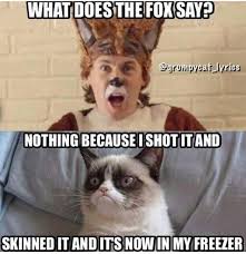 Pin On Funny Quotes