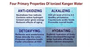 Image result for kangen water