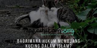 May 02, 2016 · menurut dr. Bagaimana Hukum Membuang Kucing Dalam Islam Pecihitam Org