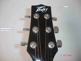 We did not find results for: The Parts Of An Acoustic Guitar