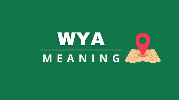 whats wya mean​