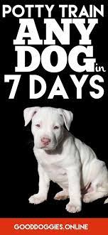 Take your dog out at frequent, regular intervals as well as after eating, drinking, playing, or sleeping. How To Potty Train Your Dog In 7 Days Or Less Good Doggies Online Potty Training Puppy Dog Potty Training Training Your Puppy