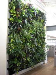 Indoor Vertical Herb Wall Garden Indoor Vertical Herb Wall Garden Design Ideas And Photos Vertical Garden Indoor Vertical Garden Design Vertical Garden
