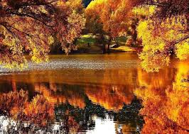 La fel de frumoşi şi în octombrie! Cele Mai Frumoase Imagini Home Facebook