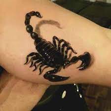 Best Scorpio Tattoos Scorpio Tattoo Cool Tattoos Tattoos