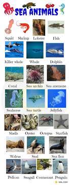 Animal Names Types Of Animals List Of Animals Animal Pictures 7esl Animals Name In English Sea Animals Images Sea Animals