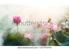 This opens in a new window. Shutterstock Puzzlepix