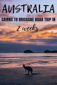 Epic Cairns To Brisbane Or Viceversa 2 Week Road Trip Australia Travel Guide Oceania Travel Road Trip