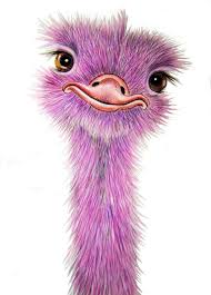 Pink Ostrich 4 Signed Print Available In 4 Sizes From A4 To A1 By Maria Moss Art Art Prints Ebay Animal Paintings Art Bird Art