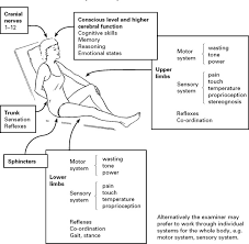 Image result for Motor Exam