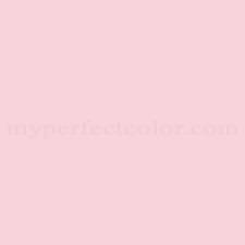 Pink Teddy Bear