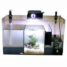 What Do You Think Aquarium Sump Marine Aquarium Saltwater Aquarium