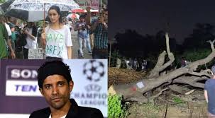 It seems basic but making sure your trees are getting enough water is essential for their overall health and longevity. Bollywood Celebs Express Anger Over Tree Cutting In Aarey