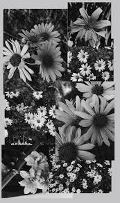 Maybe you would like to learn more about one of these? Black And White Flower Aesthetic