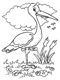 Pin By Perihan Ay On Animal Patterns Bird Coloring Pages Coloring Pages Fall Coloring Pages