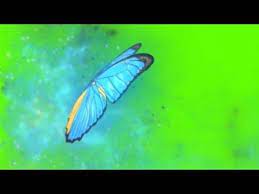 Borboleta Magica Azul Effec Green Screen Chorma Key Youtube App De Fotografia Ideias Para Videos Do Youtube Tela Verde