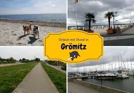 Ostseeurlaub Mit Den Hunden In Gromitz Dein Weg Mit Hund Ostsee Urlaub Urlaub Hunde