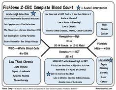 white blood cell count