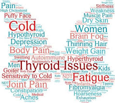 Indian Diet Plan For Hypothyroidism Weight Loss In