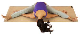 Tortuga Asanas Avanzadas Yogaes Com