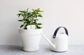 黑白霧面澆水器 噴霧器 獨家販售 canning planter pots watering can