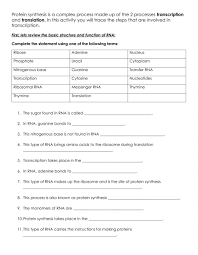 Worksheet that utilizes the imaginary purple people eater monsters to give students practice transcribing and translating to identify amino acids that code for specific traits. Rna And Transcription Practice Worksheet