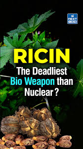Image result for Ricin