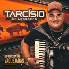 Música brasileira adalah aplikasi yang mudah untuk digunakan. Tarcisio Do Acordeon 2020 Feat Vitor Fernandes Forro Sua Musica