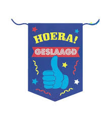 Deze kaarten waren ook heel leuk om te maken. Geslaagd Banner Xl 100x70cm Geslaagd Diploma Feestartikelen Feestwinkel Altijd Feest