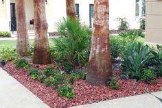 Bambu vietnamese restaurant, sanford, fl. 58 Florida Landscaping Ideas Florida Landscaping Tropical Landscaping Tropical Garden
