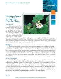 Image result for Harpagophytum procumbens