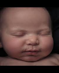 This Little Piggy 3D/4D and HD Live Ultrasound