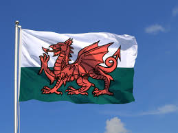You can also upload and share your favorite wales wallpapers. Wales Flagge Walisische Fahne Kaufen Flaggenplatz Shop