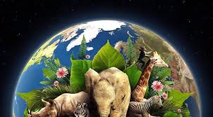 El 22 de abril se celebra el da internacional de la tierra. Dia De La Tierra Cuando Es Que Se Celebra Y Que Objetivo Tiene Renovables Verdes