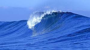 We did not find results for: 75 Gambar Air Laut Bergerak Paling Bagus Gambar Pixabay