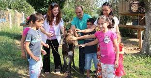 odemis hayvan barinagi ziyaretcilere acildi