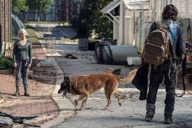 أبو الحسن وأمير كرارة وجهًا لوجه في «عمر الناجي. Ù‡Ø°Ø§ Ù…ÙˆØ¹Ø¯ Ø§Ù„Ù…ÙˆØ³Ù… 11 ÙˆØ§Ù„Ø£Ø®ÙŠØ± Ù…Ù† The Walking Dead Et Ø¨Ø§Ù„Ø¹Ø±Ø¨ÙŠ
