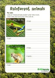 free rainforest worksheets for teaching and learning about rainforests