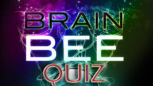 The hit single you should be dancing by bee gees is from __________ decade. Brain Bee Quiz Challenge