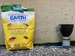 Ants are one of the most common insects that invade the home. How To Apply Diatomaceous Earth Updated
