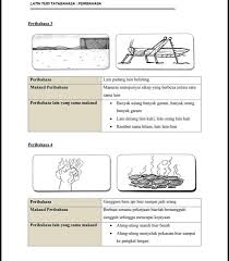Peribahasa adalah susunan perkataan yang mengandungi maksud tersirat dan yang lahir daripada cetusan fikiran orang melayu dahulu. Peribahasa Lain Padang Lain Belalang
