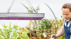 If watts are an indication of brightness, then we should be able to use it as a way of comparing different types of led grow lights and some. 150 Watt Led Grow Light For Indoor And Outdoor Plants