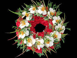 Many other relatives are around us as well. Cream Hibiscus Wreath