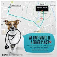 Maybe you would like to learn more about one of these? Animal Clinic Jakarta Jakarta Animal Aid Network