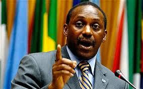 Yumkella Faces Challenges at Supreme Court*