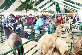 They definitely loved all the attention they have been getting!. Long Island Fun Fest Ny Exotic Animal Zoo