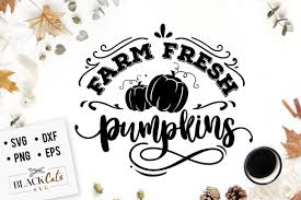 Download Farm Fresh Pumpkins Svg By Blackcatssvg Thehungryjpeg Com PSD Mockup Templates
