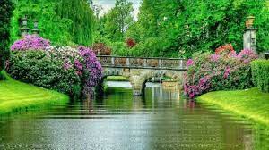 Beautiful Nature Background Video Time Lapse Natural Garden Beautiful Nature Nature Backgrounds Beautiful Photography Nature