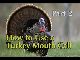 Pin On Turkey Hunting